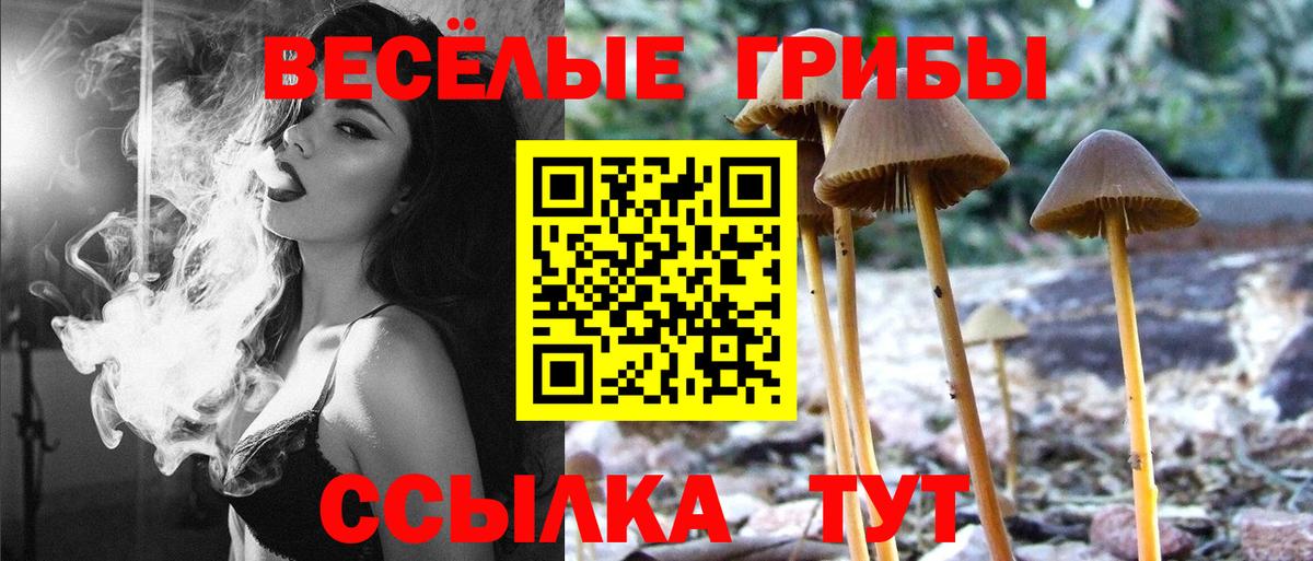 Псилоцибиновые грибы мицелий Нефтекамск