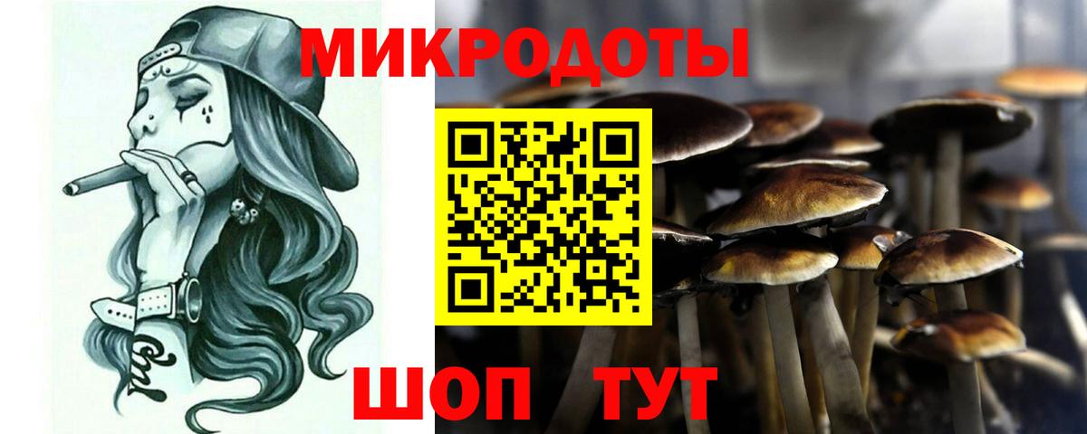 Нефтекамск  Псилоцибиновые грибы Magic Shrooms  Псилоцибиновые грибы MAGIC MUSHROOMS  Вход с VPN 